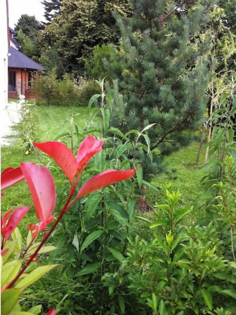 CHARMING GITE IN AMBOISE HISTORICAL CENTER. GITE Ivoire.  House in Amboise
