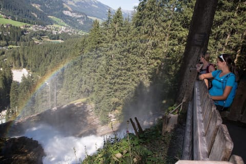 Immediate Surroundings [summer] (<1 km)