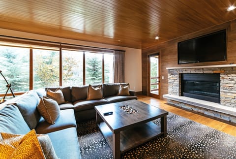 Furniture, Screen, Living Room, Room, Indoors