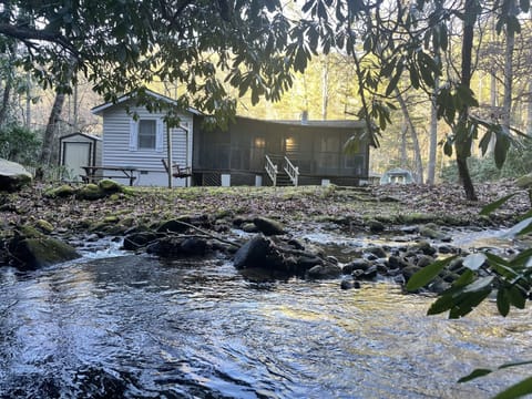 View from the creek 
