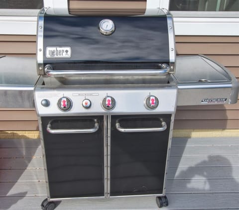 Your Gas Grill is Located on Your Dock Deck in the Back Yard