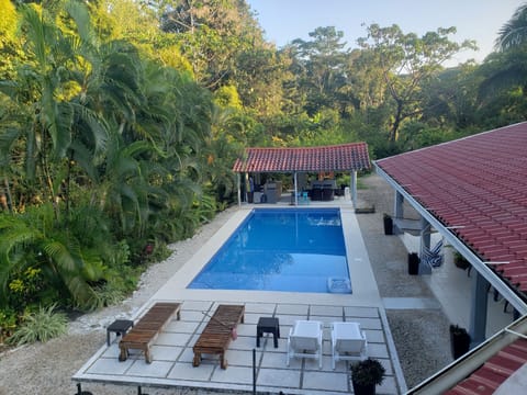 Large lap pool