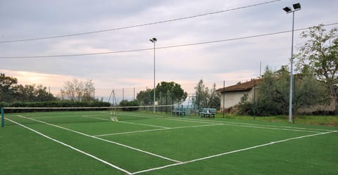 Sport court