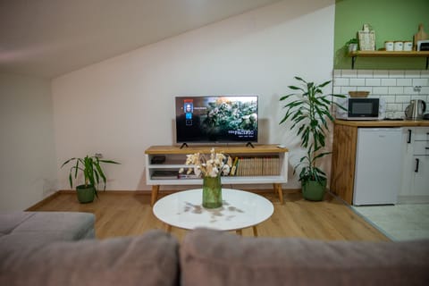 Flat-screen TV with Netflix and the sitting area