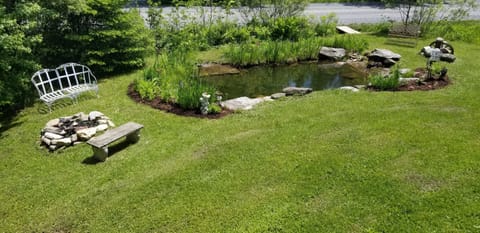 Small pond and fire pit in front yard