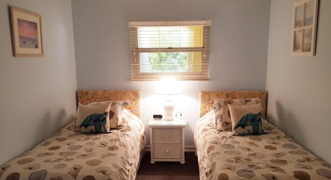 Guest bedroom (twin beds &amp; TV))