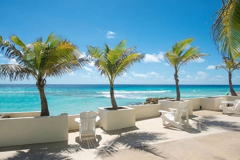 Stretch out on the terrace while palms sway overhead.