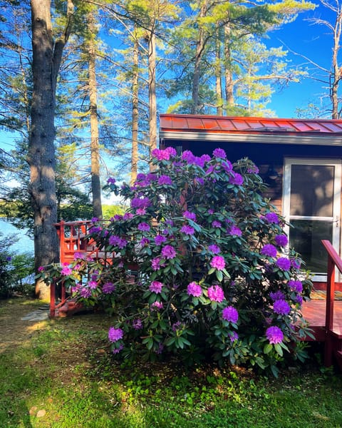 Lakefront Cottage - sleeps 6 - 2 baths Cabin in Winthrop