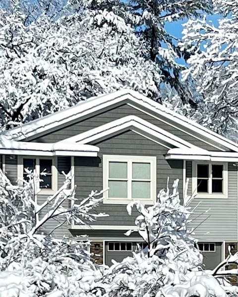 Beautiful 4000 sq ft private forest retreat. Winter wonderland. 