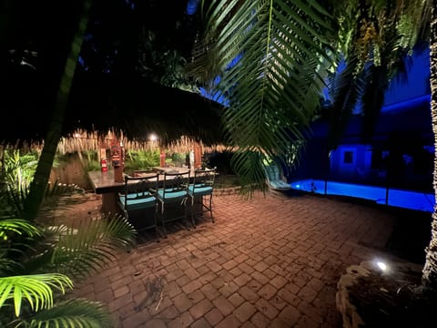 Tropical palm tree garden all illuminated at night.