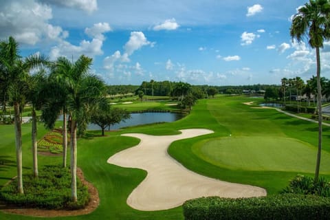 The Greens! Time for a round