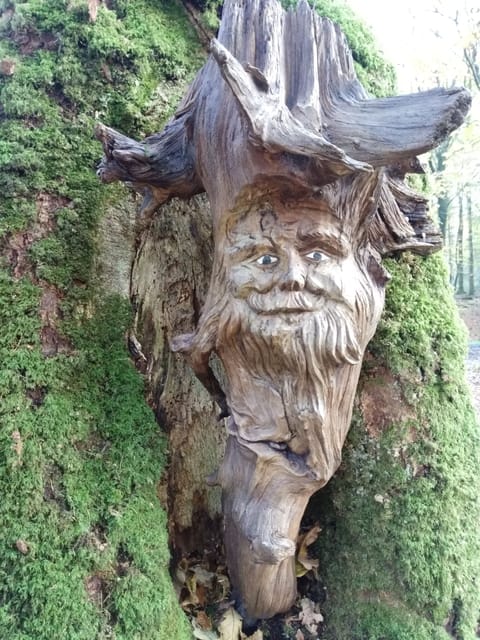 The vacation apartment Treeneblick is classified with 5 stars by the DTV Apartment in Nordfriesland