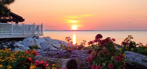 Sunset at The Shores