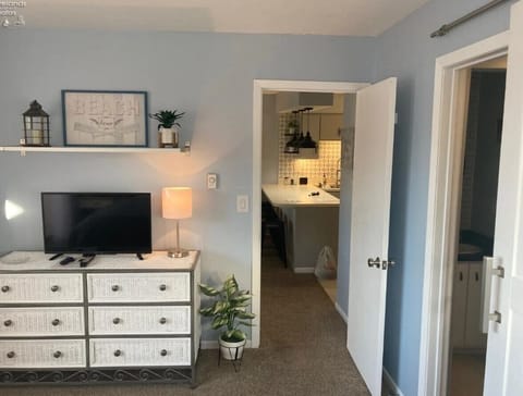 Master bedroom with streaming roku tv, walk in closet and ensuite