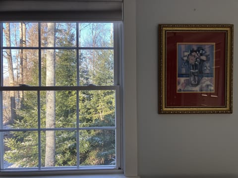 Balsam firs outside the bedroom window