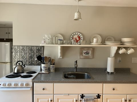 The kitchen is fully equipped and ready for cooking.