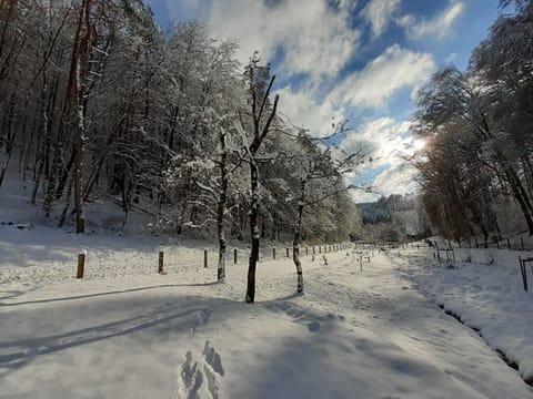 Snow and ski sports