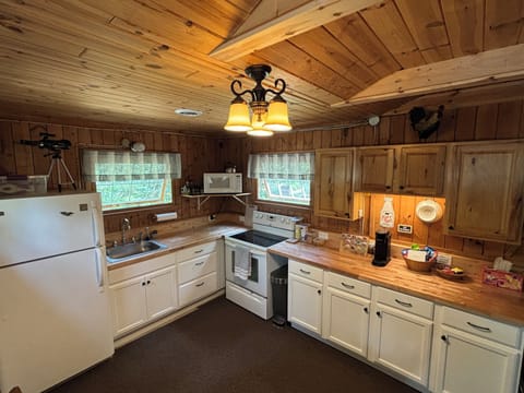 Full view of kitchen.