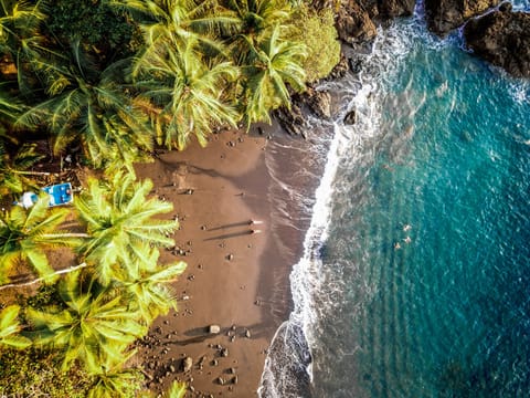 Front yard beach

