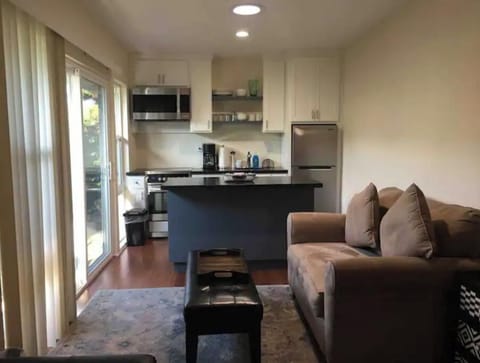 Kitchenette and seating area with a twin sofa bed