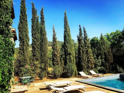 Garden and swimming pool