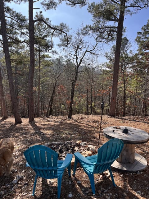 Rustic fire pit w/ wooded scenery; firewood bundles available to purchase