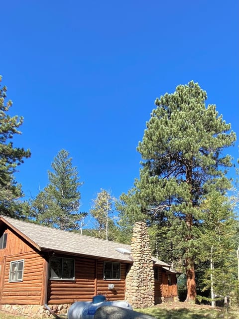 Cabin exterior in summer