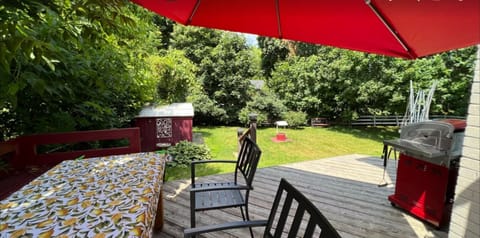 Beautiful Back Yard