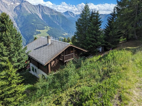 Beautiful Chalet in summer.