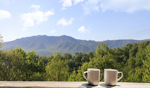 Incredible views of Mt. LeConte!