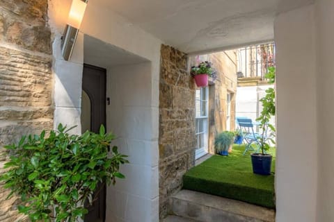 Plenty of plants outside