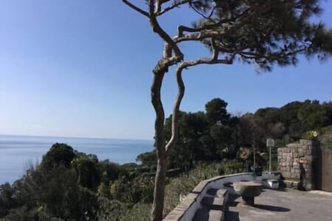 Vista del Belvedere antistante la tenuta