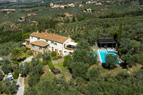 Olive Tree Villa