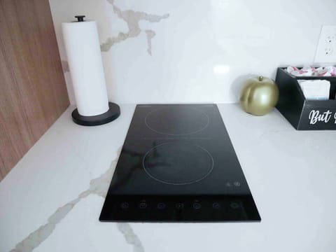 Two burner electric stove top.