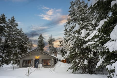 Modernized, Real-Log Homestead