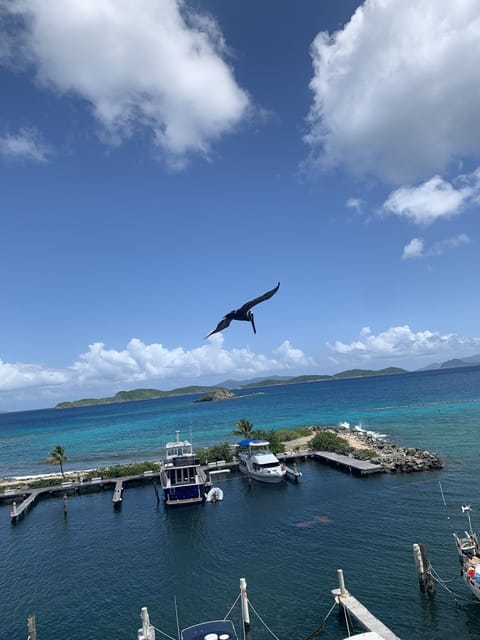 Welcome to Pelican Harbor 