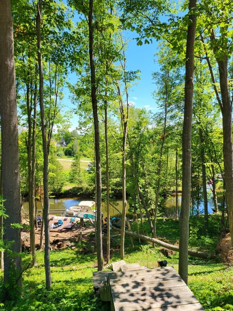 Summer Fun: Golf, Boat, Mountain Bike, Hike, Fish, Swim, Canoe and more!