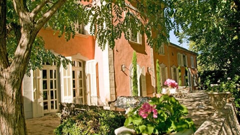 The terrace shaded by 100 year old plane trees
