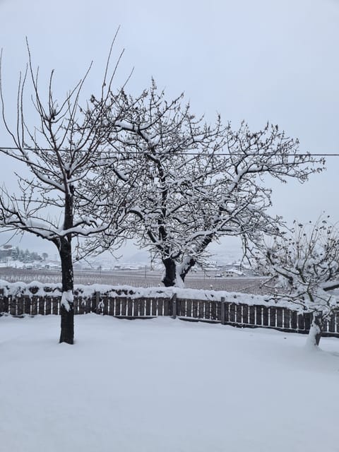 Apartments Harmony South view Apartment in Trentino-South Tyrol