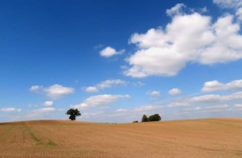 Blockhaus 2 Cabin in Mecklenburgische Seenplatte