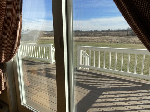 View outdoors from living room.
