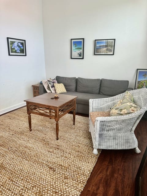 Living Room with Sleeper Sofa