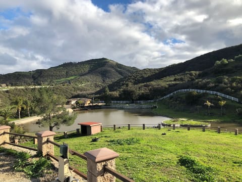 Tranquil & scenic 10-acre ranch with seasonal pond and free-range horses