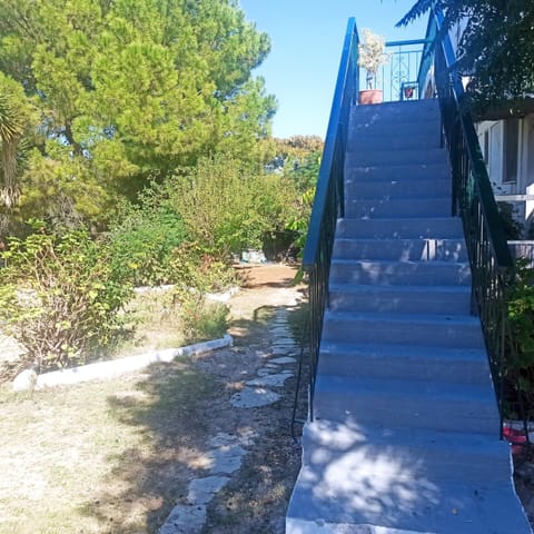 Stairs to the entrance