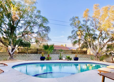 Pool and spa with mountain views in private backyard surrounded by Olive trees. 