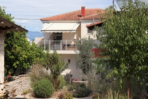Main view