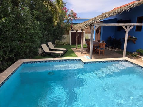 The back yard has a fantastic plunge pool with jetted seats, easy in/out steps.