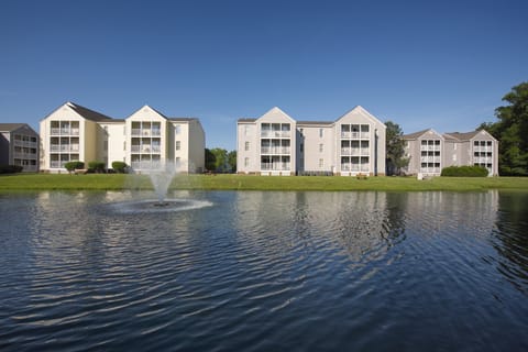 1 Bedroom Suite