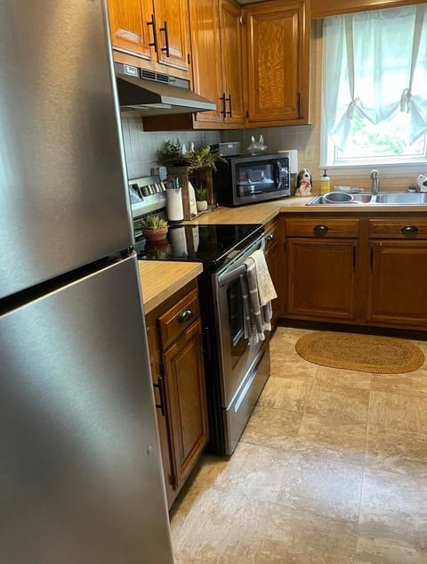 Kitchen area - main level