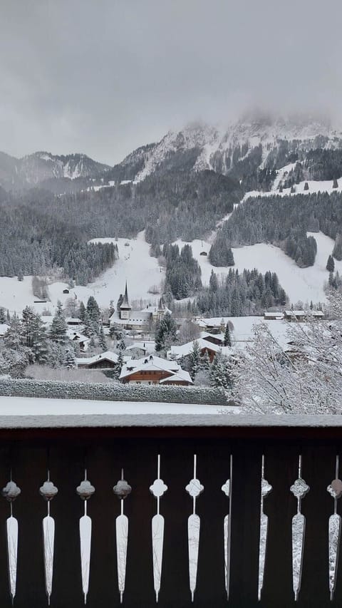 view of the town on a winter day